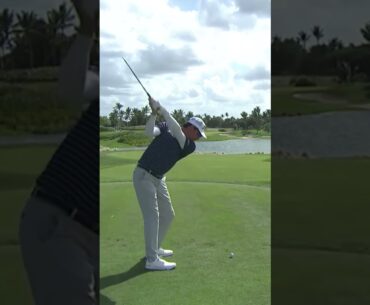 간결하고 정직한 임팩트를 추구 I 조엘 데이먼(Joel Dahmen)