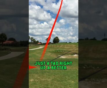 Navigating Challenges: A Golfer's Journey Through Truman Executive Golf Course #shorts