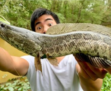 I FINALLY CAUGHT A FRANKENFISH!!! (They INVADED an ABANDONED Golf Course!)
