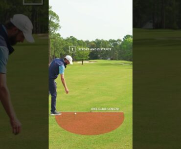 Ball stuck in a tree? Here are your options | USGA Rules of Golf
