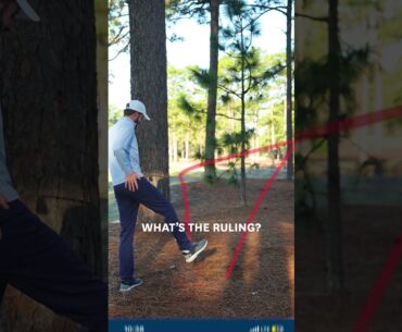 Shanked a shot off a tree and hit yourself? Here's what happens next | USGA Rules of Golf