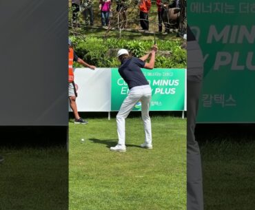 Bjorn HELLGREN 프로의 시원한 드라이버 샷 #슬로우모션 #고화질 #golf #장타의조건 #골프 #골프스타 #koreagolf #golfswing #눈호강 #골프스윙