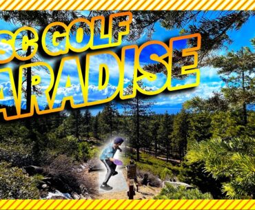 Top 10 Disc Golf Courses To Play Before You Die!