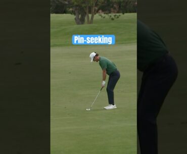 Pin-seeking with Paratore 👀