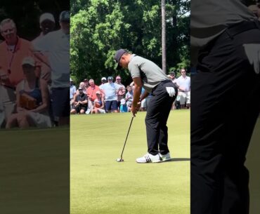 Xander Schauffele goes for par at No. 9 at the 2025 PGA Championship #shorts #live #golf