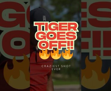 Tiger Woods Challenges Him… Then Hits the CRAZIEST Shot Ever 🤯🔥 #shortsvideo #golf #youtubeshorts