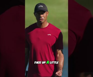 Golf Secrets REVEALED: Left Side Advantage & Tiger's Swing Tips!