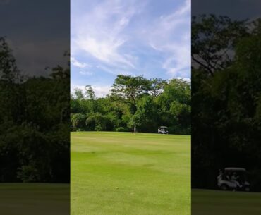 #shortvideo #travel #golf