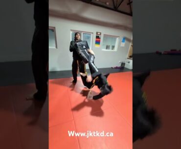 Kids-  martial arts - taekwondo- - Surrey- delta - newton   Www.jktkd.ca