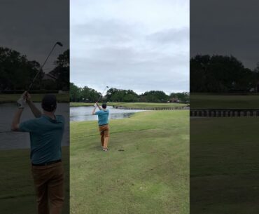 Emerald Green Golf Course Tampa, Florida! Amazing Island Green on Hole! Best Golf Course in Tampa!