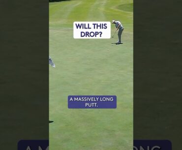 Worth waiting for? 👀