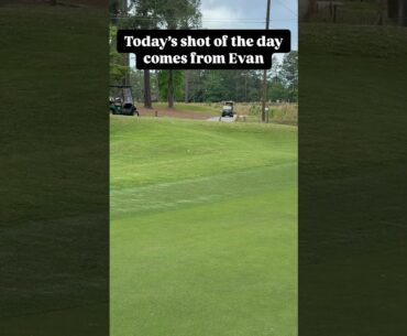 @emcneill_10 judges it perfectly from the pinestraw @southernpines.golfclub #golfing