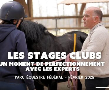 Les stages clubs : un moment de perfectionnement avec les experts