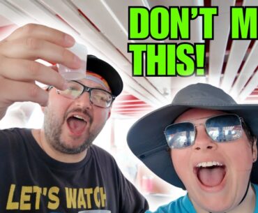 The BEST Excursions in Bonaire | Carnival Horizon Day 5 | 2 Excursions in ONE DAY!