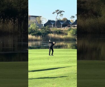 [티타임즈 직캠⛳️] 허인회 프로의 핀빨 어프로치 #golf #kpga #golfswing #어프로치