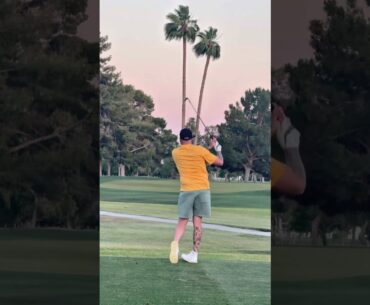 Would this have been the best Ace of all time? #golf #golfswing #ace #fyp