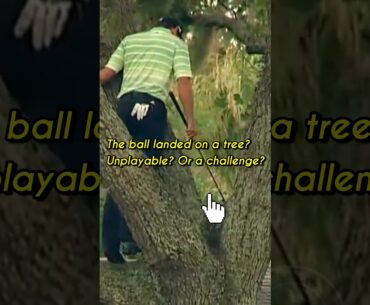 Sergio Garcia’s Unbelievable Tree Shot 🌳🔥 | Golf History Moment