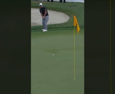 Ryan Fox Chips in to Win 2025 #golfswing #pgatour #ryanfox