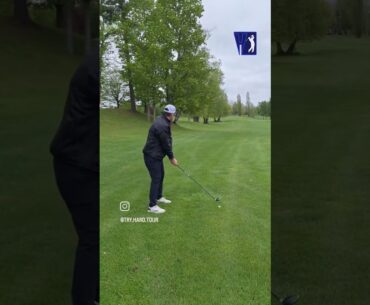 It's always something else's fault. #golf #reels #subscribe #trees #shorts #fairway #fail #instagram