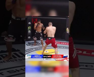 Выиграл ОДНИМ лоукиком! Бобур vs Махамаев #мма #хардкор