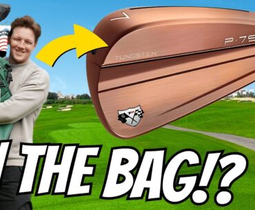 LIMITED EDITION RARE TaylorMade P790 Irons Going IN THE BAG!?
