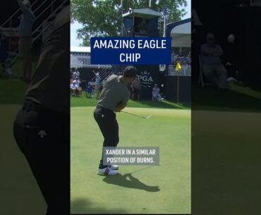 SPECIAL eagle from Xander Schauffele! 🔥