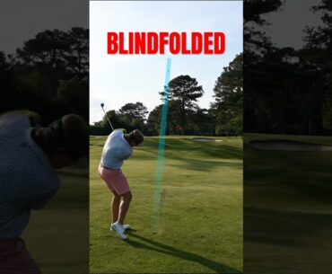 BLINDFOLDED Golf! Can I Make a Birdie? 🧑‍🦯 #golf #golfswing