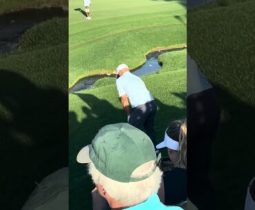 Alex Noren off the side on No. 18 at the 2025 PGA Championship #shorts #live #golflife