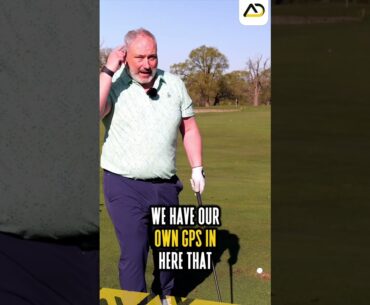 Why You Can’t Stay Down in the Golf Swing
