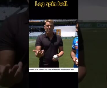 Leg spin ball 🤯🤯🤯 #shorts #cricket #cricketlover #bowling #ipl #ytshorts