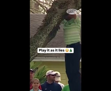 Sergio Garcia climbs a tree to hit a one-handed, backwards shot at the 2013 API.