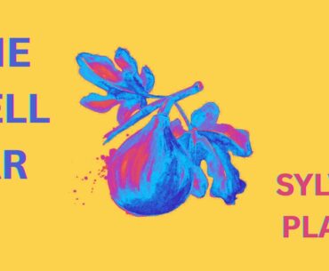 "The Bell Jar" by Sylvia Plath | Full Audiobook with Subtitles to Follow Along!