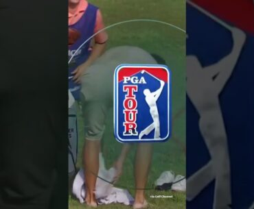 Normal, average shot on the PGA TOUR