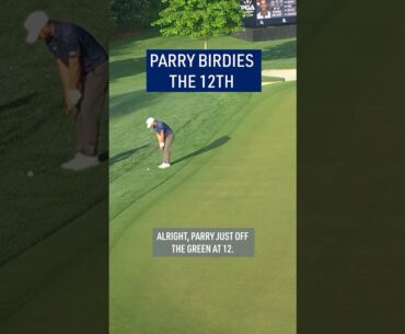 STELLAR chip-in! 🥵