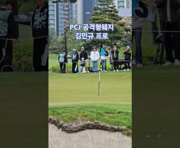 PCJ 공격형웨지 김민규프로의 완벽한 40m샷 #golf#kpga#kpga투어프로#골프스윙#내꿈은장타왕#이유호프로#페인터골프##김민규프로#타이틀리스트#리브골프#livgolf