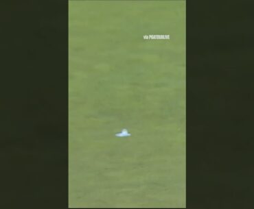 Shane Lowry's hilarious reaction to his putt 😂 #shorts