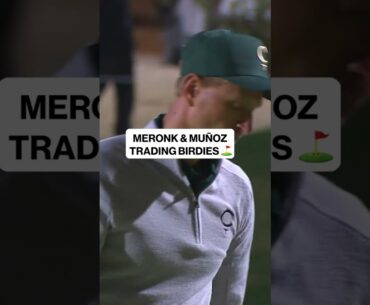 🚨 Meronk & Muñoz TRADE BIRDIES in BATTLE FOR FIRST 🔥 #LIV #Golf #golfer #tigerwoods #philmickelson