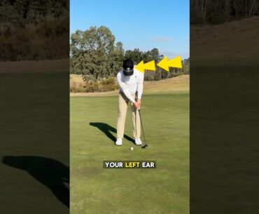 “Putt with your Left Ear” 😱🤯 #golf #golfcoach #golftips #puttingtips