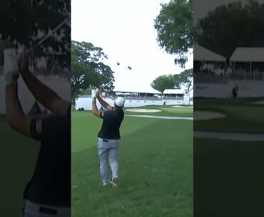 Ryan Fox Iron Swing 2025 #golfswing #pgatour #ryanfox