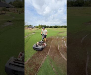 Secret Weapon for a Nice Lawn