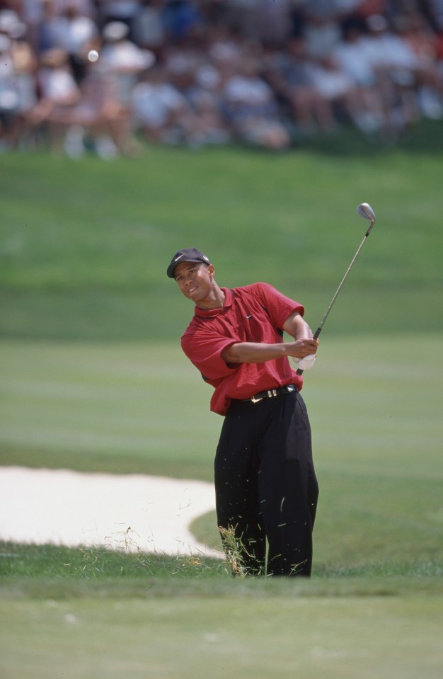 Tiger is famous for getting out of the woods