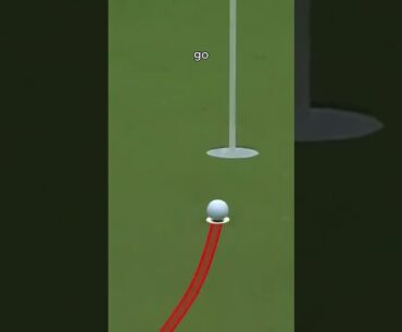 Chesson Hadley's Hilarious Hole-in-One Reaction You Have to See! #golfhighlights