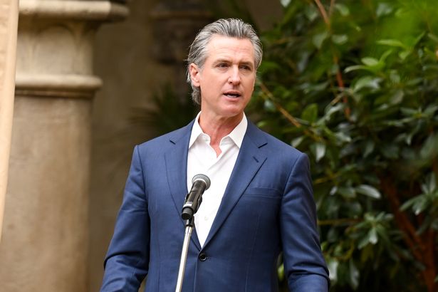 Gavin Newsom