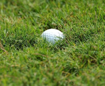 Indian sports wrap, May 14: Zara moves up in Japan golf tournament