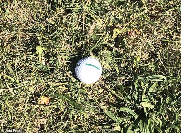 Pictured: One of the golf balls that allegedly bombarded residents' houses near the Lydd golf club