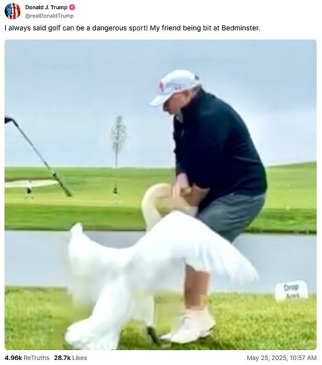 Trump made this post to Truth Social of 'a friend' of his being attacked by a bird at Bedminster