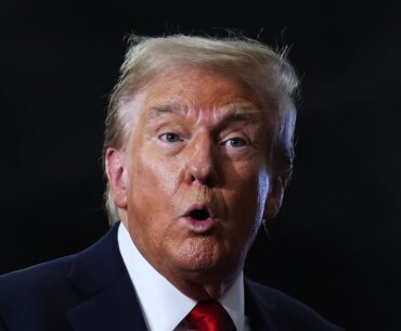 Trump Posts Crazy Goose Attack: ‘Golf is Dangerous’