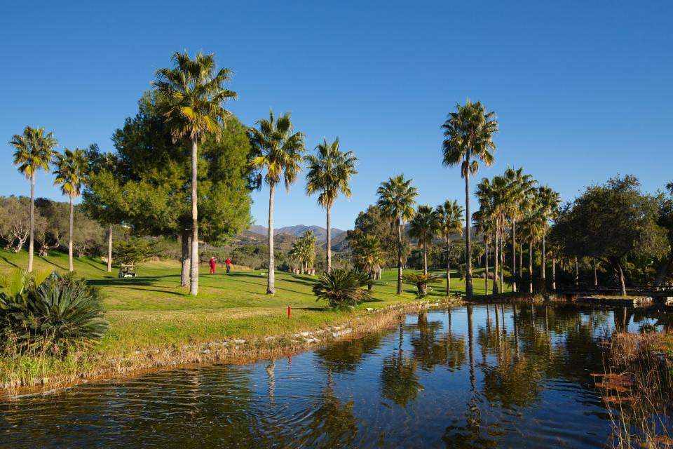 Golf course with palm trees and a pond.