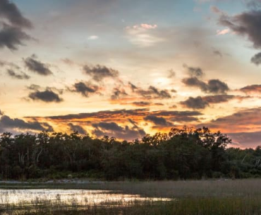 DeSantis says he plans to sign bill that would ban golf courses, hotels in Florida’s state parks