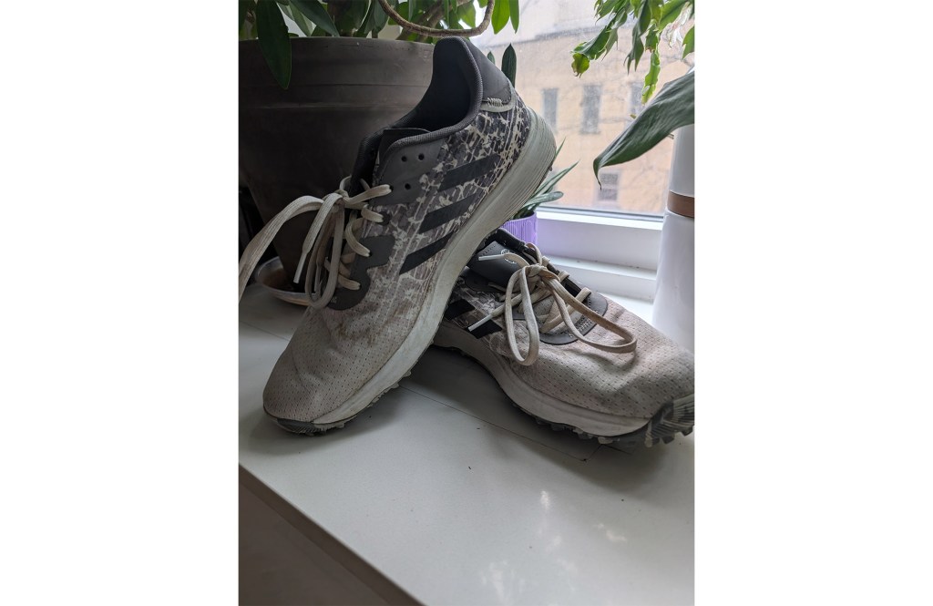 adidas shoes